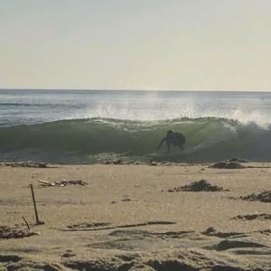 Meet your Posher, Jared